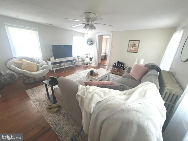 619 S Cameron St, Winchester, VA 22601 - living room with wood finished floors and ceiling fan
