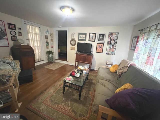 619 S Cameron St, Winchester, VA 22601 - living room featuring wood finished floors, healthy amount of natural light, and baseboards