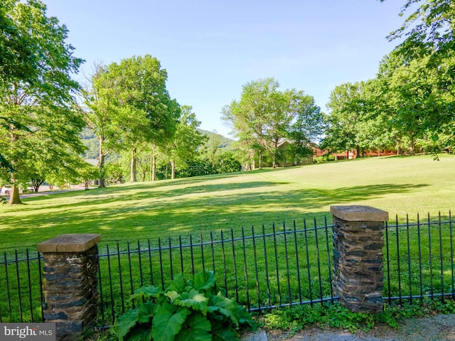 730 Fillmore St, Harpers Ferry, WV 25425 - view of yard