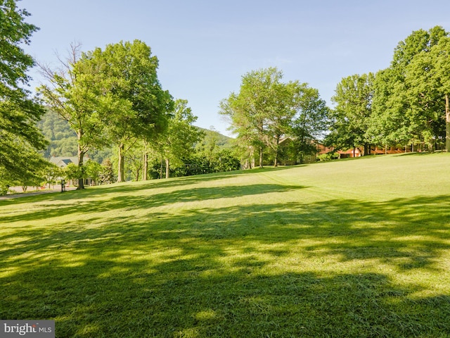 730 Fillmore St, Harpers Ferry, WV 25425 - view of home's community featuring a yard