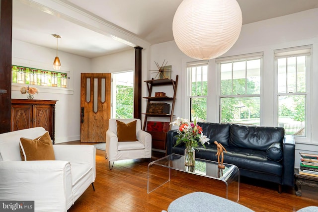 730 Fillmore St, Harpers Ferry, WV 25425 - living area with healthy amount of natural light and hardwood / wood-style floors