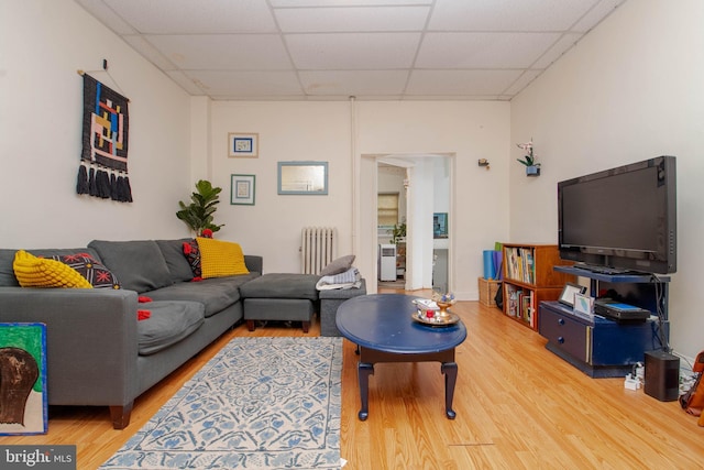 living area featuring radiator heating unit, a drop ceiling, and wood finished floors