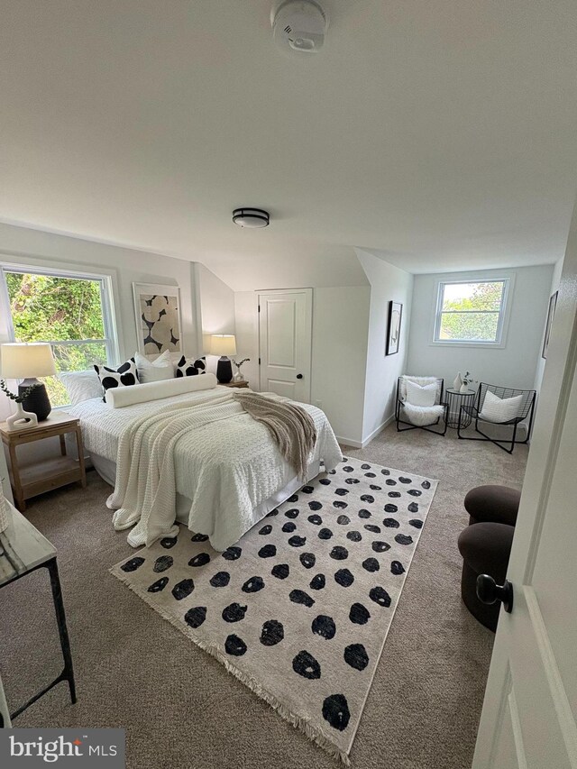 2506 Chelsea Ter, Baltimore, MD 21216 - carpeted bedroom with multiple windows