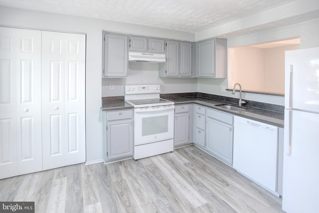 kitchen with white appliances, a sink, under cabinet range hood, gray cabinetry, and light wood-style floors