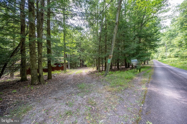 view of road featuring a forest view