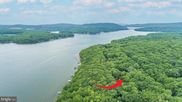 aerial view of a water and mountain view and a forest