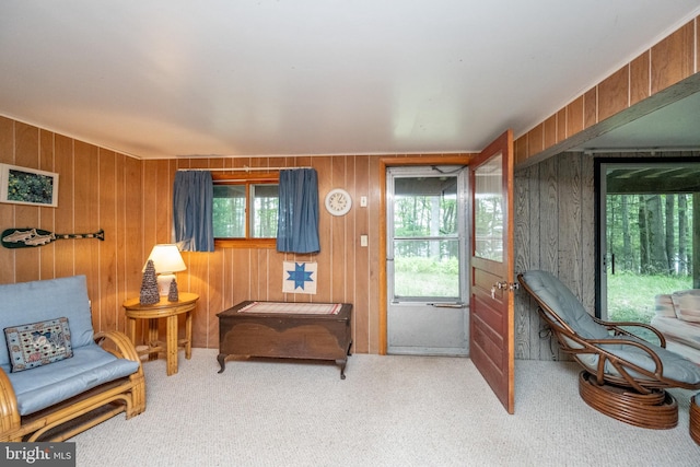 living area with carpet floors and wood walls