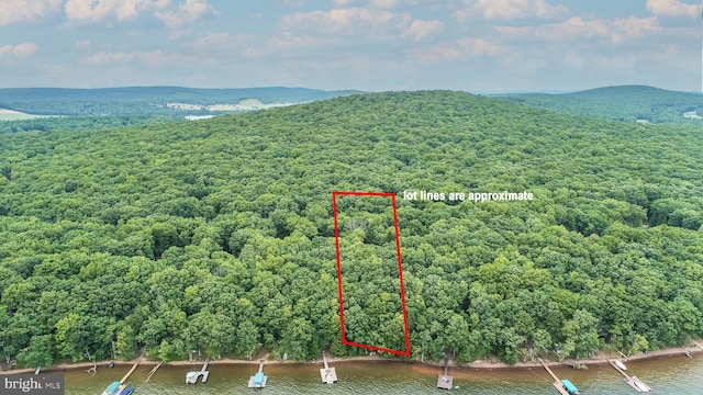 aerial view of property's location featuring property boundaries highlighted, a water and mountain view, and a forest