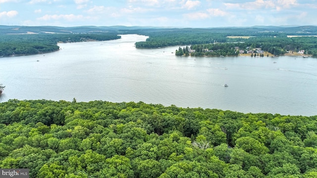 drone / aerial view of a nearby body of water and a forest