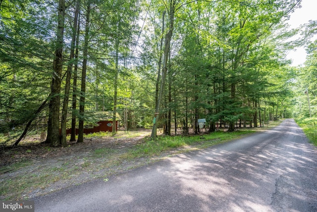 view of street featuring a wooded view