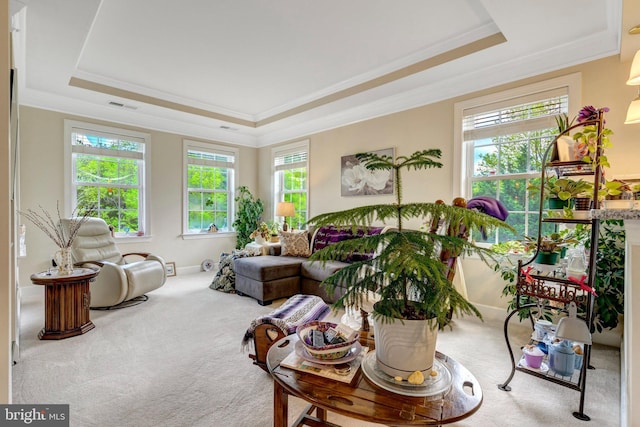 living room featuring a raised ceiling, carpet flooring, crown molding, and baseboards
