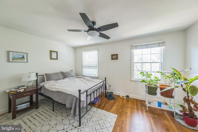 2217 Observatory Pl NW, Washington, DC 20007 - bedroom featuring multiple windows, baseboards, hardwood / wood-style floors, and ceiling fan