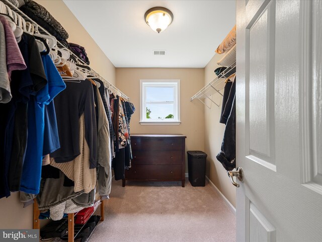 spacious closet with carpet