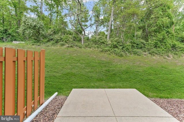 view of grassy yard featuring a patio area