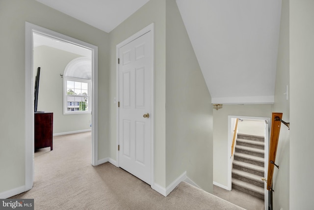25977 Kildee Run, Mardela Springs, MD 21837 - staircase featuring carpet flooring and baseboards