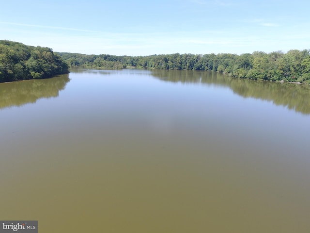 7750 Carrleigh Pkwy, Springfield, VA 22152 - water view featuring a heavily wooded area