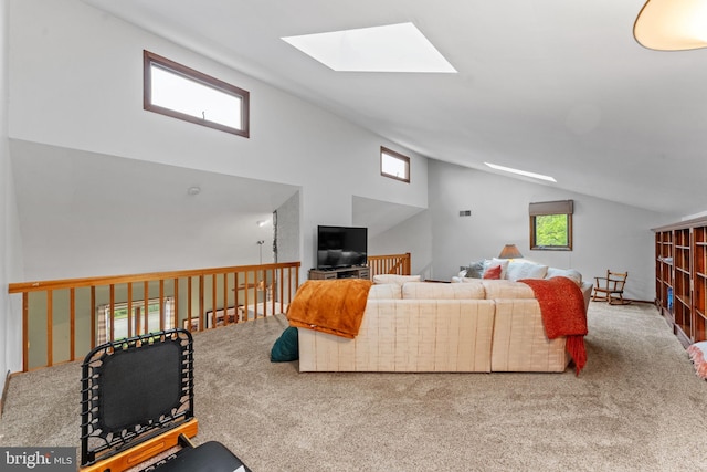 4 Fox Ridge Rd, Glenmoore, PA 19343 - carpeted living area with a skylight and high vaulted ceiling
