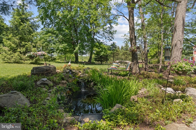 4 Fox Ridge Rd, Glenmoore, PA 19343 - view of yard with a small pond