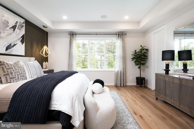 42152 Stone Press Ter, Brambleton, VA 20148 - bedroom featuring light wood-type flooring, a tray ceiling, baseboards, and recessed lighting