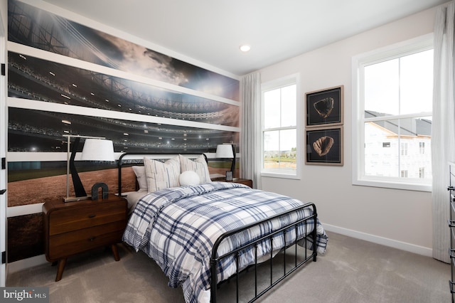 42152 Stone Press Ter, Brambleton, VA 20148 - bedroom featuring baseboards, multiple windows, carpet flooring, and recessed lighting