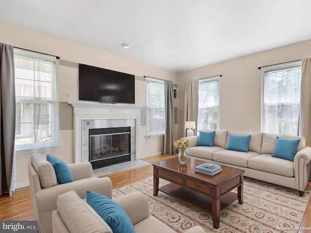 411 Stonebridge Blvd, New Castle, DE 19720 - living area featuring wood finished floors, a fireplace, and baseboards