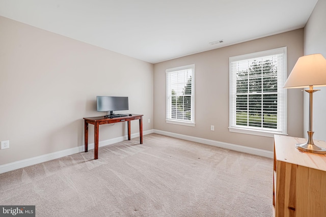 38452 Millstone, Purcellville, VA 20132 - unfurnished office with baseboards, plenty of natural light, and light carpet
