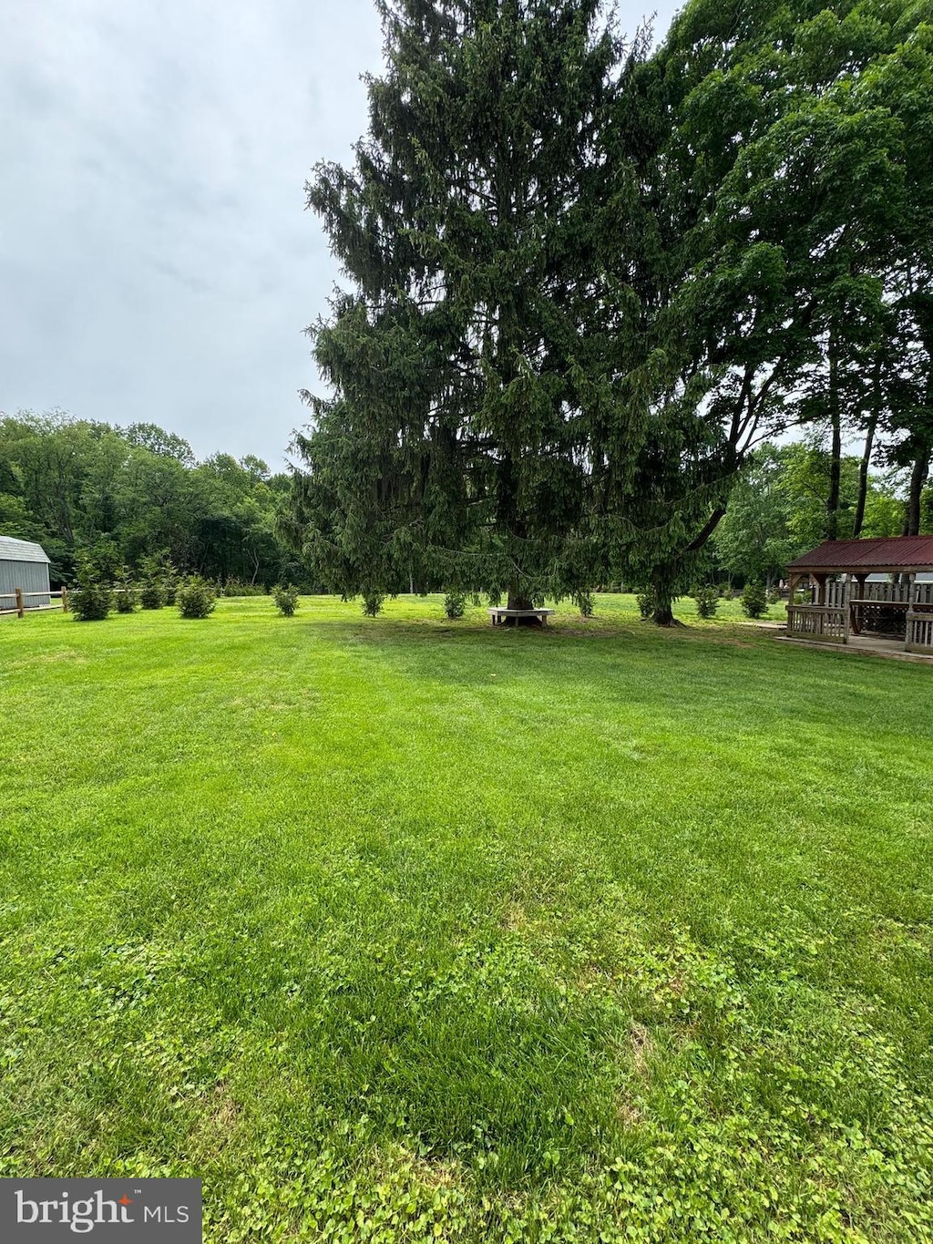 view of grassy yard