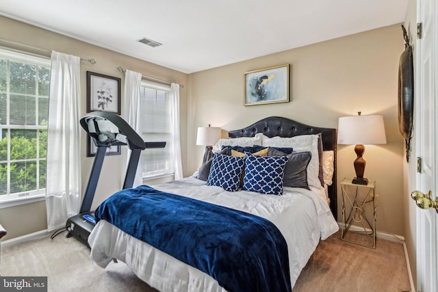 1624 Catherine Fran Dr, Accokeek, MD 20607 - carpeted bedroom featuring multiple windows and baseboards