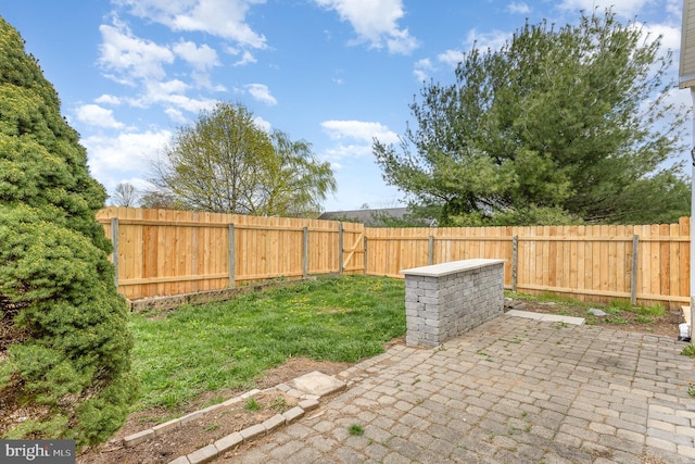 8838 Mckinley Ct, Hummelstown, PA 17036 - view of yard featuring a patio