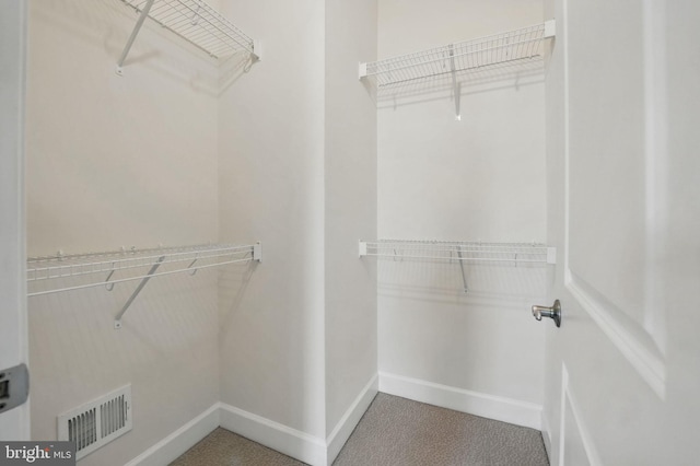 9870 Buchanan Loop, Manassas, VA 20110 - spacious closet with carpet