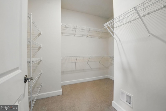 9870 Buchanan Loop, Manassas, VA 20110 - spacious closet featuring carpet
