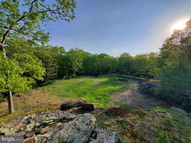 LOT2 Hallet Rd, East Stroudsburg, PA 18301