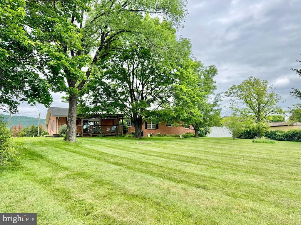 1793 N Hayfield Rd, Winchester, VA 22603 - view of grassy yard