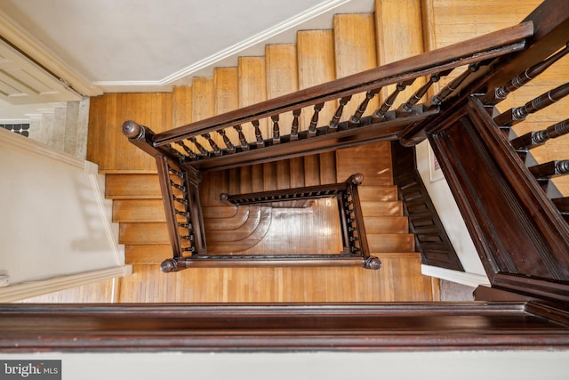 detailed view