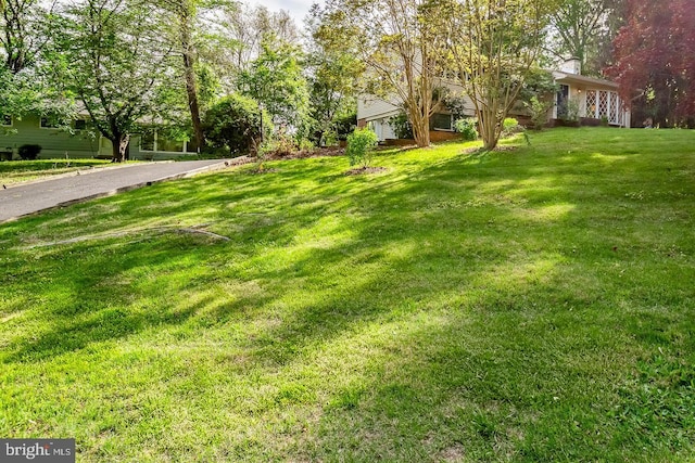 view of grassy yard