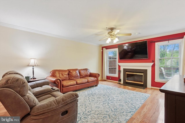 living room featuring light wood-type flooring, a ceiling fan, ornamental molding, and a fireplace with flush hearth