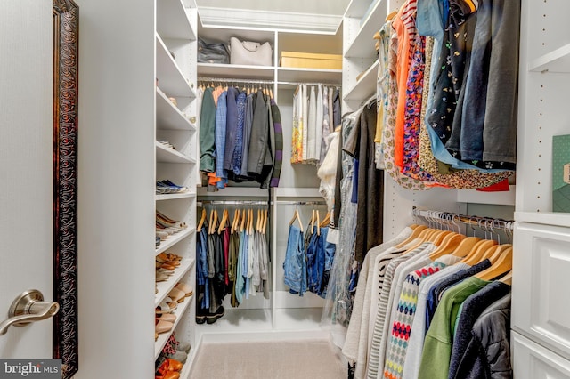 6034 Franconia Rd, Alexandria, VA 22310 - view of spacious closet