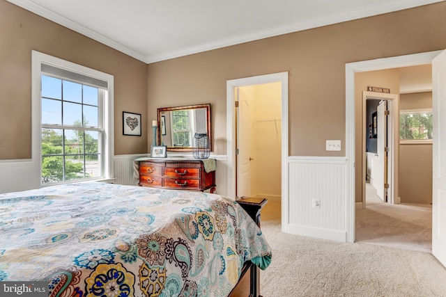 6034 Franconia Rd, Alexandria, VA 22310 - bedroom featuring a wainscoted wall, carpet, crown molding, and a spacious closet