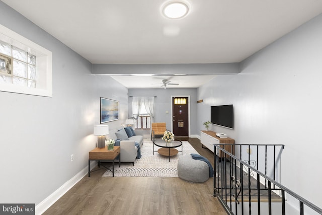 312 S Wolfe St, Baltimore, MD 21231 - living room with wood finished floors, baseboards, and a ceiling fan