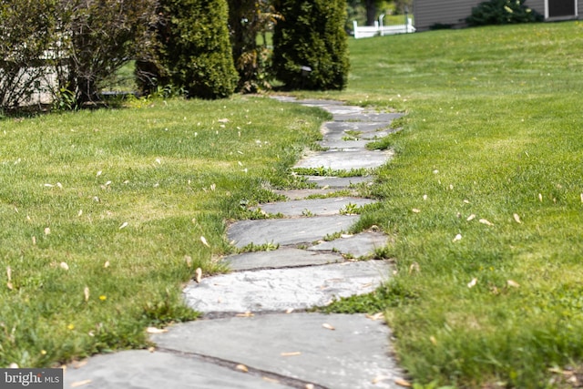 503 Forest Ave, Bellefonte, PA 16823 - view of green lawn