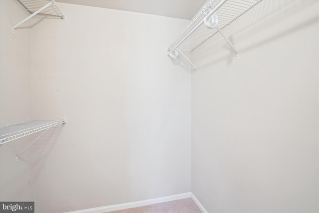 5938 New England Woods Dr, Burke, VA 22015 - walk in closet with carpet flooring