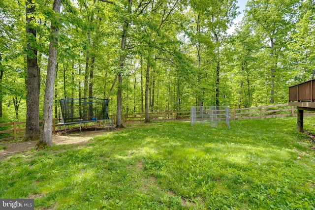 436 Strobridge Rd, Inwood, WV 25428 - view of yard with a trampoline