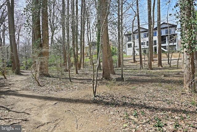 1564 Forest Villa Ln, Mclean, VA 22101 - view of yard