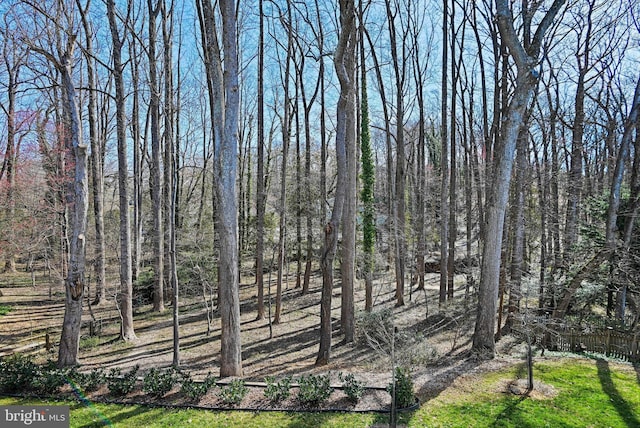 1564 Forest Villa Ln, Mclean, VA 22101 - view of nature
