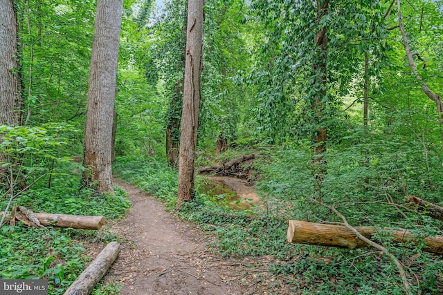 1564 Forest Villa Ln, Mclean, VA 22101 - view of tree filled area