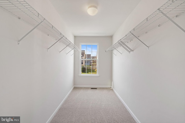 100 Fiesta Dr, Stephenson, VA 22656 - walk in closet with carpet flooring