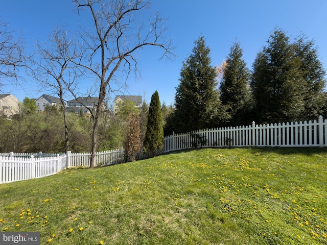 100 Fiesta Dr, Stephenson, VA 22656 - view of yard