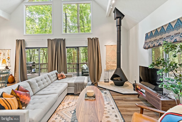 114 Limestone Ln, Berkeley Springs, WV 25411 - living area with a wood stove, high vaulted ceiling, and wood finished floors