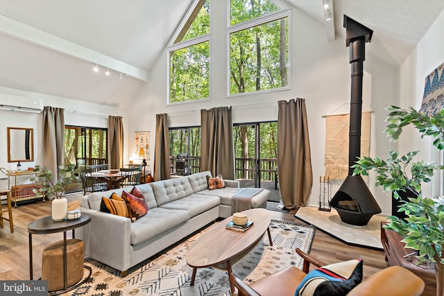 114 Limestone Ln, Berkeley Springs, WV 25411 - living room featuring a wood stove, high vaulted ceiling, wood finished floors, rail lighting, and healthy amount of natural light