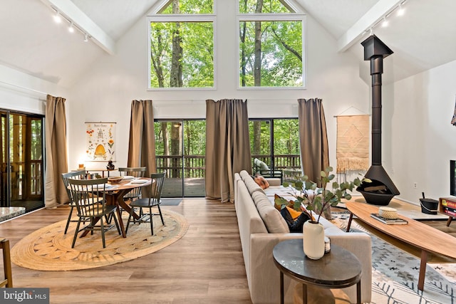 114 Limestone Ln, Berkeley Springs, WV 25411 - living area featuring track lighting, high vaulted ceiling, a wood stove, wood finished floors, and beamed ceiling